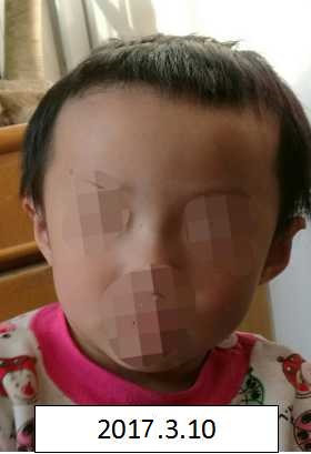 操比电影免费观看